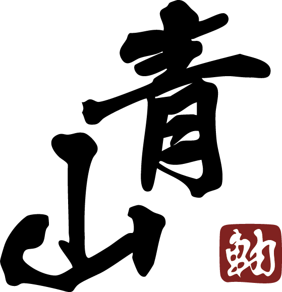 AoyamaShaft